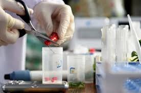 ʲô�ǵ�����ʳƷ�z�y�C������ʲô����