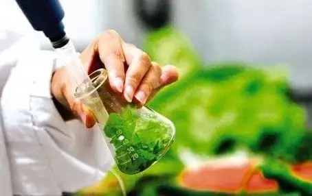 ʳƷ�z�y(c��)